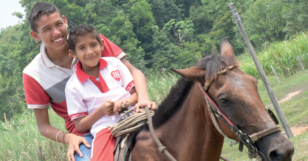 BANNER BOLETIN 369 NUEVA MEDIDA 2