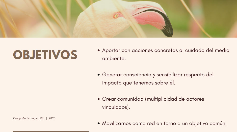 comision-ecologica1