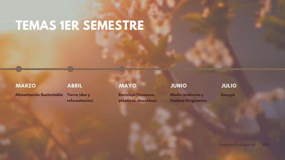 comision-ecologica3