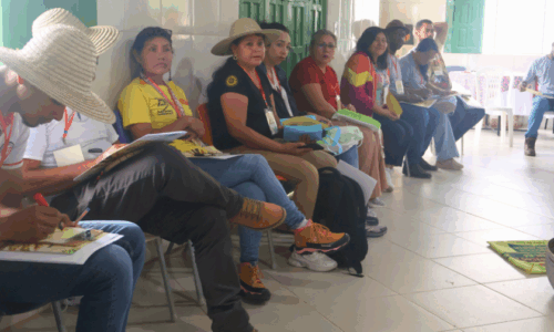 Encontro de Ecologia Integral 12