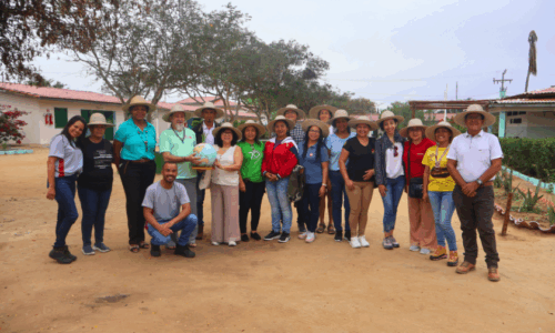 Encontro de Ecologia Integral 13