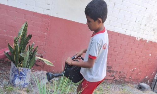 Carrosel_FYA Manaus_Circuito_Ecologia 3