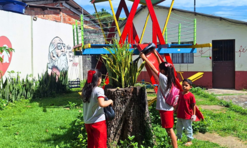Carrosel_FYA Manaus_Circuito_Ecologia