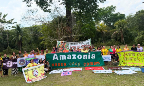Carrossel_Soma dos Quintais_Amazonia_Outubro3 Carrossel_Soma dos Quintais_Amazonia_Outubro3