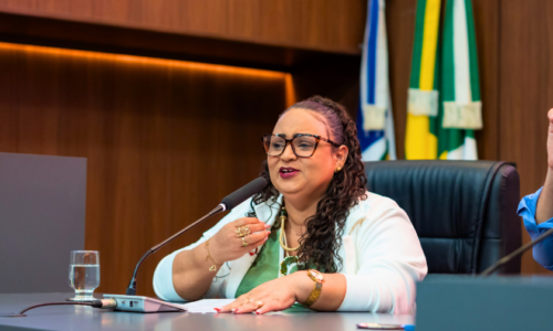 Carrossel_Moção de Aplauso_Conselho_RMM_Cuiabá_Outubro1